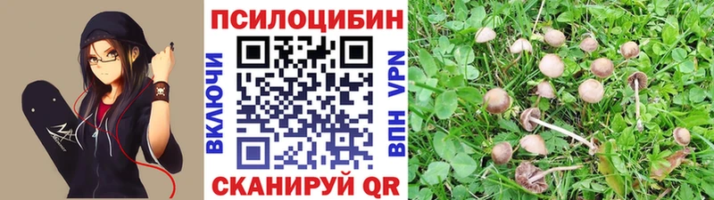 Галлюциногенные грибы ЛСД  закладки  Можайск 