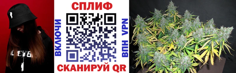 Конопля VHQ  наркота  Можайск 